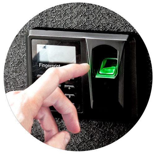 BL-Line-Green-Light BL-Line-Green-Light