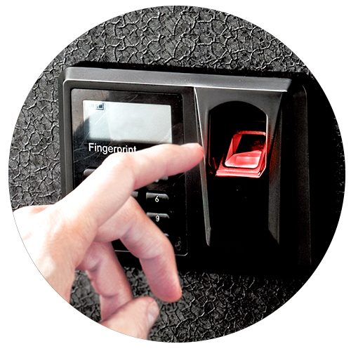 BL-Line-Red-Light BL-Line-Red-Light